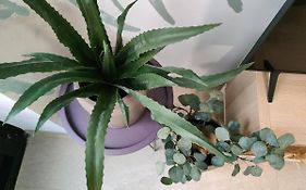 Hola Apartament Alicante