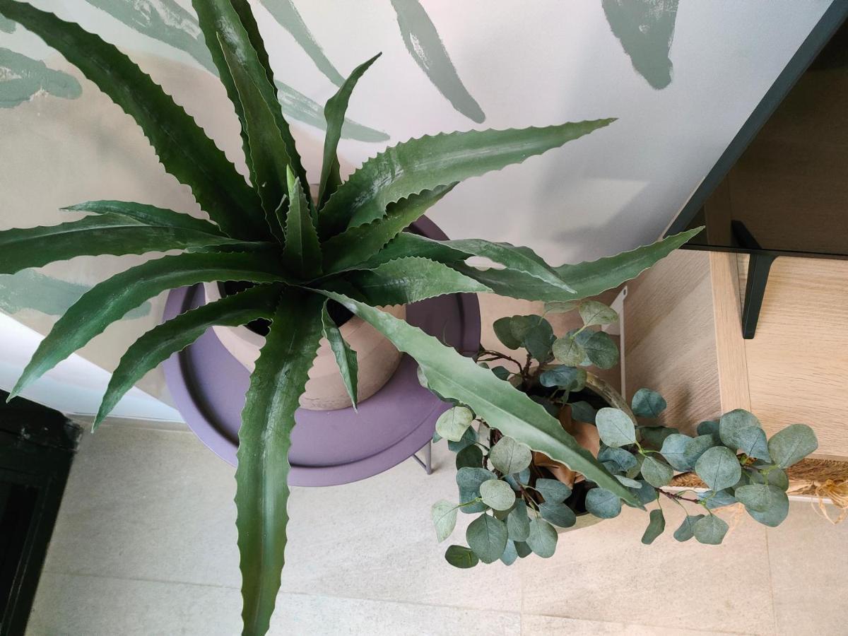 Hola Apartament Alicante Zewnętrze zdjęcie